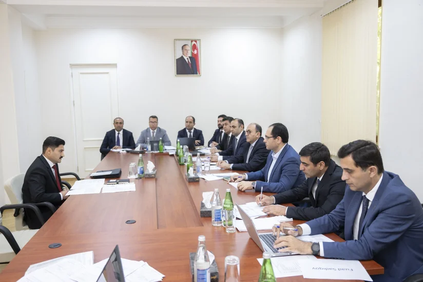Məcnun Məmmədov Lerikdə vətəndaşları qəbul edib
