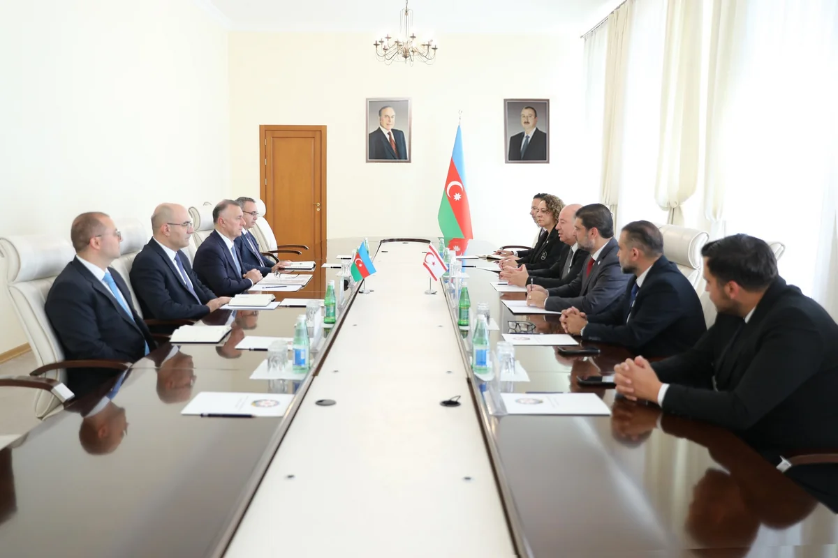 Azerbaijan, Northern Cyprus discuss healthcare cooperation