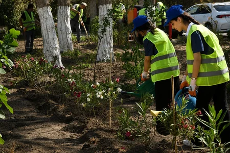 Abşeron sağlamlıq və istirahət mərkəzinin ərazisində abadlıq və yaşıllığın qorunması aksiyası keçirilib