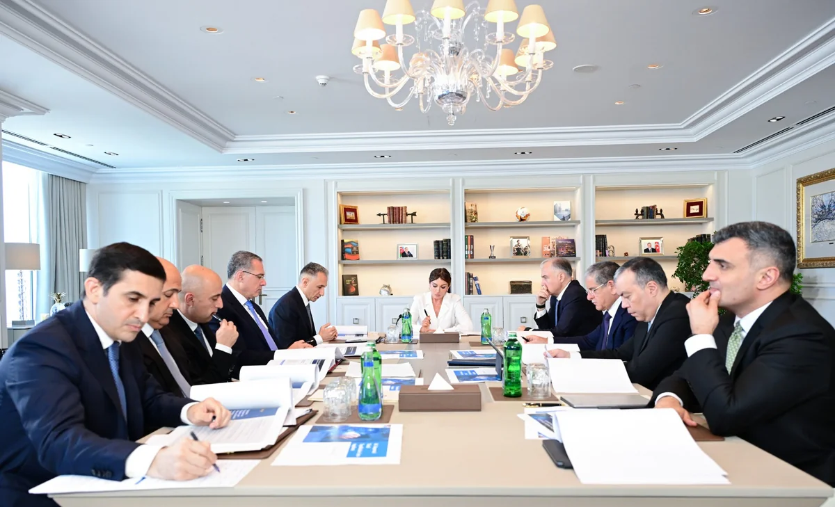 Mehriban Aliyeva's appointment as chairperson of Digital Development Council - logical, far-sighted decision – OPINION