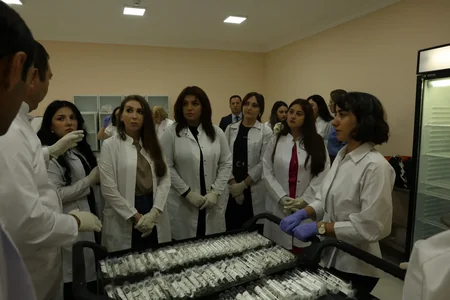 Azərbaycanda ilk dəfə qəhvəyi mərmər bağacığına qarşı bioloji mübarizəyə başlanılıb