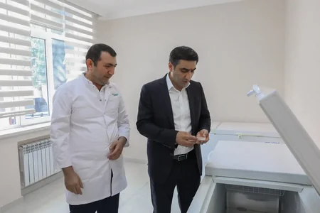 Azərbaycanda ilk dəfə qəhvəyi mərmər bağacığına qarşı bioloji mübarizəyə başlanılıb