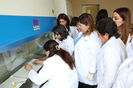 Azərbaycanda ilk dəfə qəhvəyi mərmər bağacığına qarşı bioloji mübarizəyə başlanılıb
