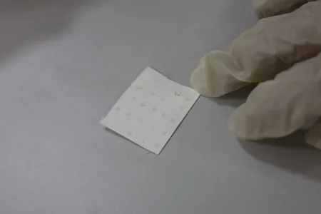 Azərbaycanda ilk dəfə qəhvəyi mərmər bağacığına qarşı bioloji mübarizəyə başlanılıb