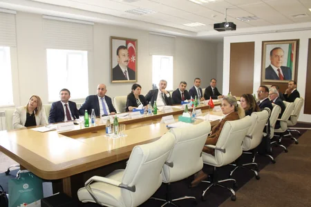 Gulmammadov: Azerbaijan, Türkiye to expand co-op on parallel audits
