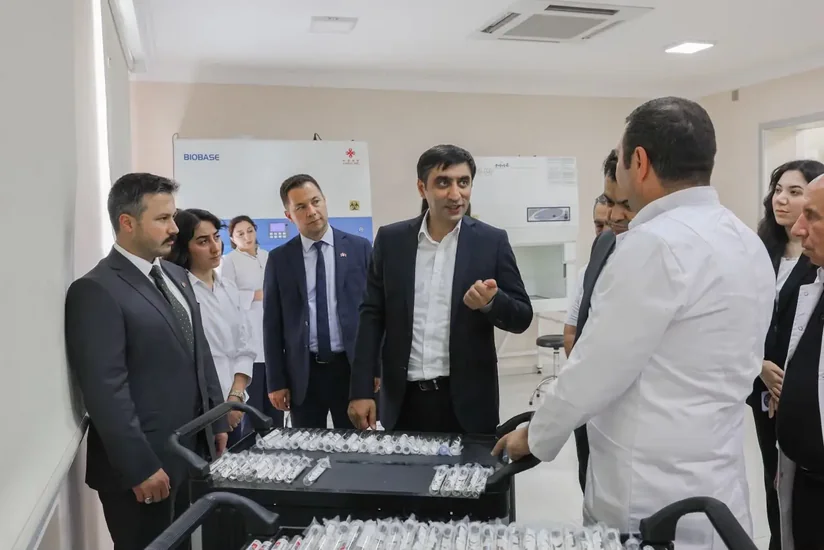 Azərbaycanda ilk dəfə qəhvəyi mərmər bağacığına qarşı bioloji mübarizəyə başlanılıb