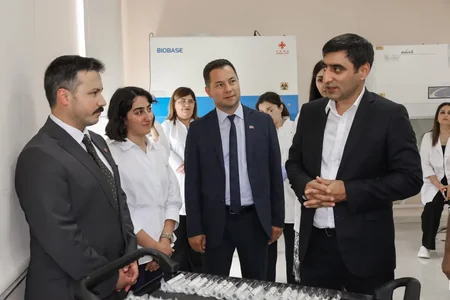 Azərbaycanda ilk dəfə qəhvəyi mərmər bağacığına qarşı bioloji mübarizəyə başlanılıb