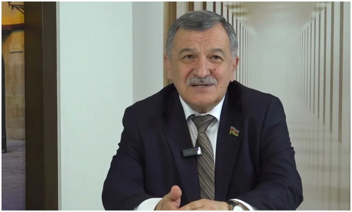 Aydın Mirzəzadə: "Azərbaycanda kraudfandinq üzrə ixtisaslaşmış mərkəzin  yaradılmasına ehtiyac var"