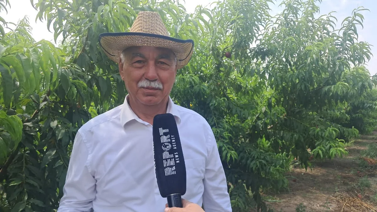 Zəngilan DAİM-nin direktoru: Sakinlərin məşğulluğu üçün kooperativlər yaradılıb