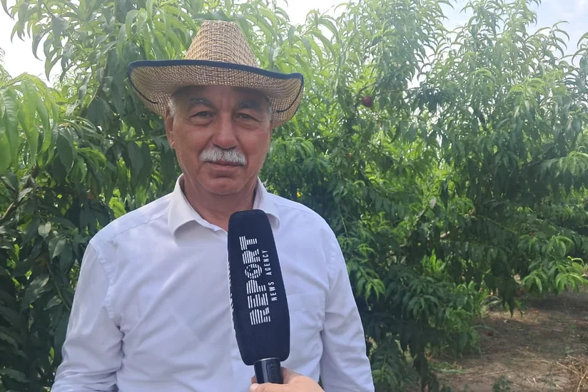Zəngilan DAİM-nin direktoru: Sakinlərin məşğulluğu üçün kooperativlər yaradılıb