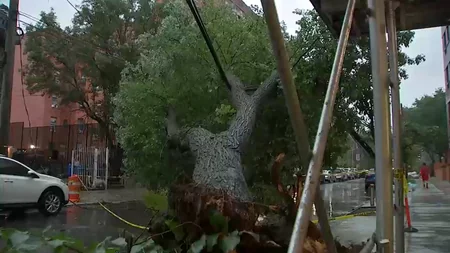 Güclü yağışlar Nyu-York üçün ciddi problemlər yaradıb