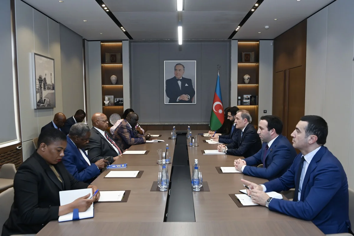 Azerbaijan, Zimbabwe discuss expanding cooperation