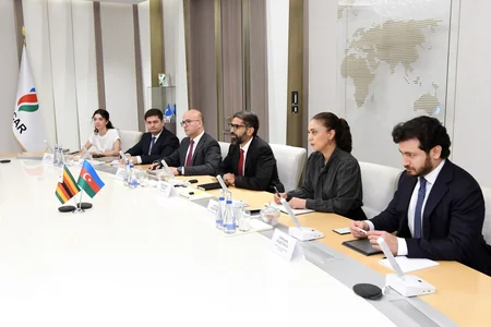 SOCAR discusses energy cooperation with Zimbabwe National Assembly