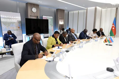 SOCAR discusses energy cooperation with Zimbabwe National Assembly