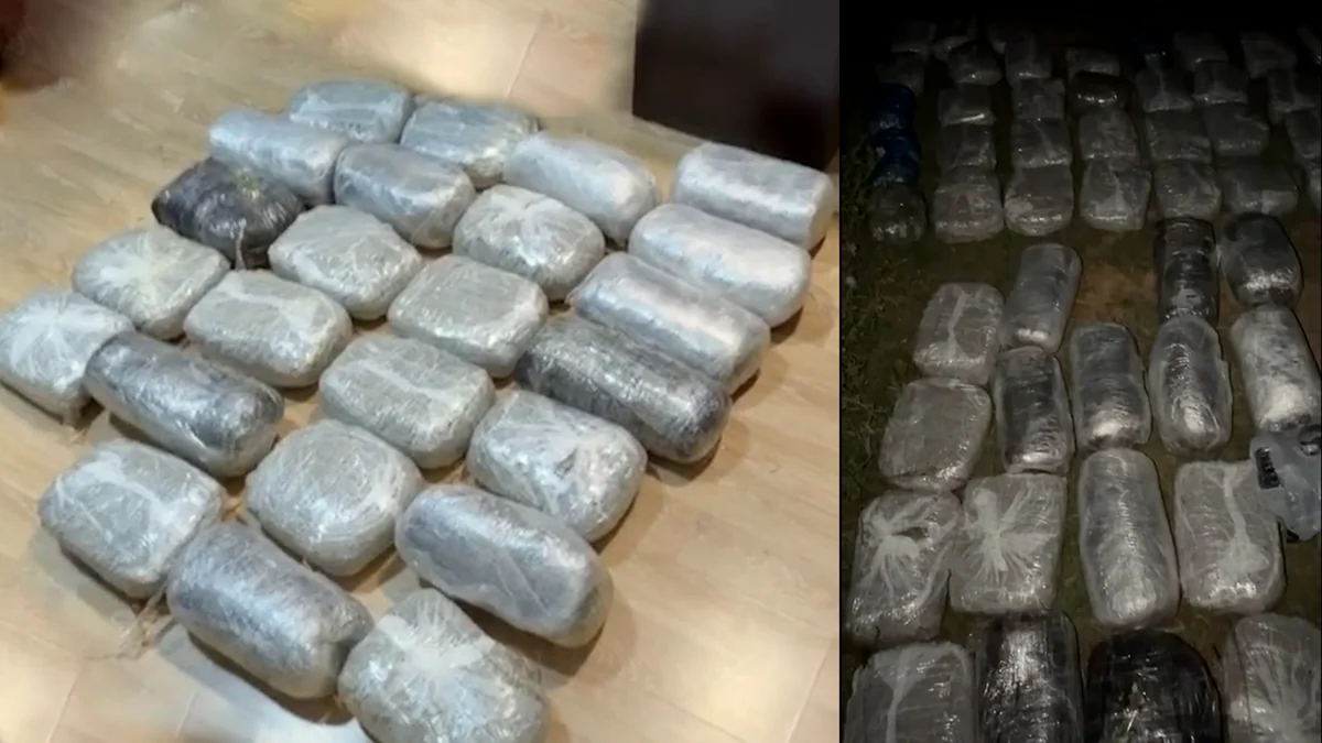 Yevlax və Lənkəranda əməliyyat keçirilib, 76 kq narkotik dövriyyədən çıxarılıb