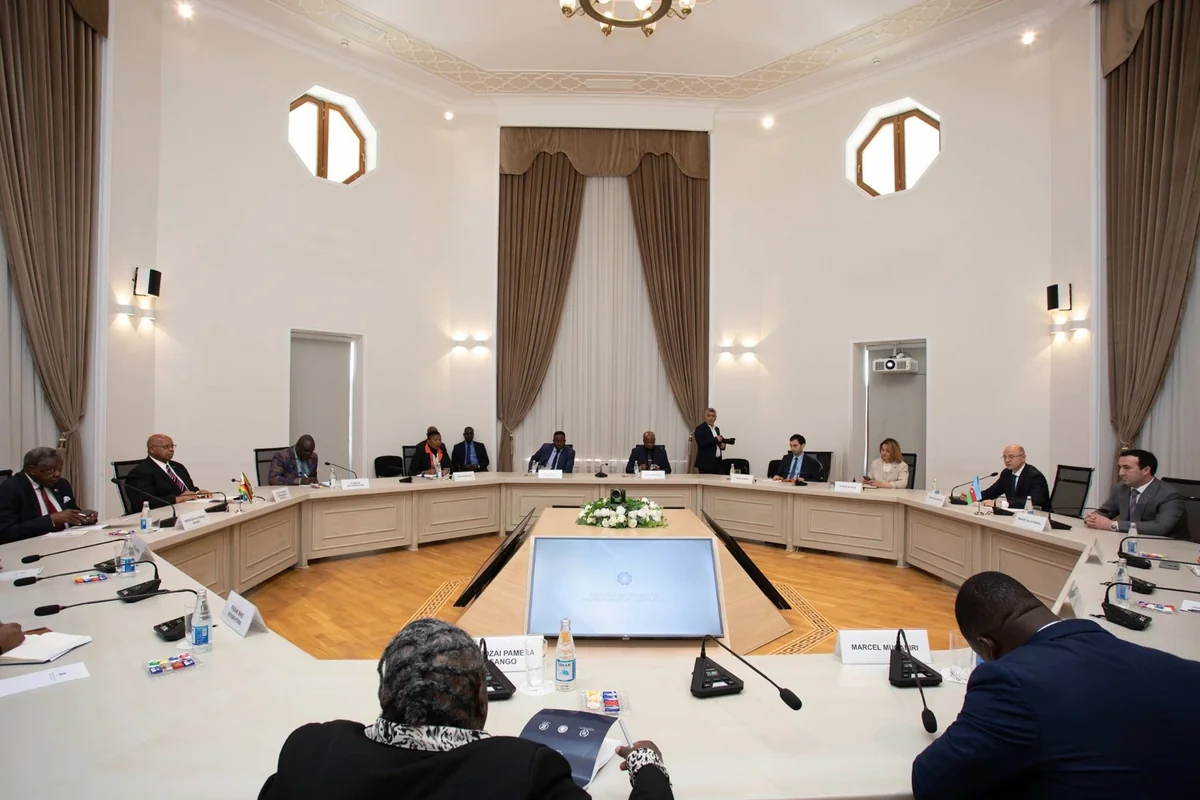 Azerbaijan, Zimbabwe discuss energy cooperation