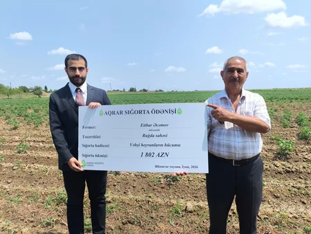 Cəlilabad və Biləsuvardan olan fermerlərə 10 min manatdan çox sığorta ödənişləri edilib