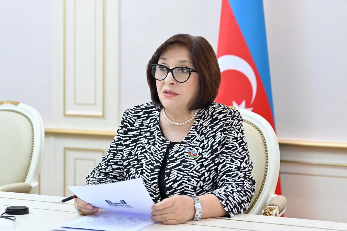 Spiker: New laws adopted to support Azerbaijan's digital transformation