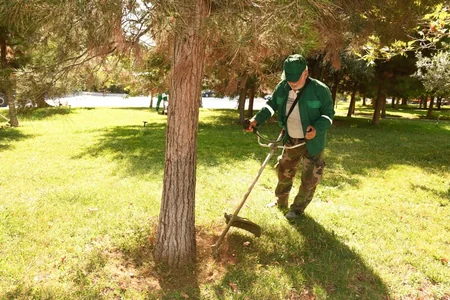 Bakıda növbəti daxili iməcilik keçirilib