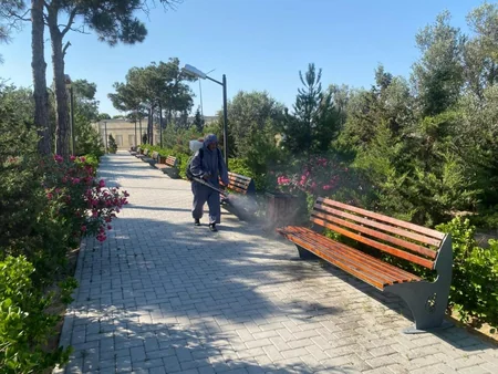 Bakıda növbəti daxili iməcilik keçirilib