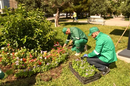 Bakıda növbəti daxili iməcilik keçirilib