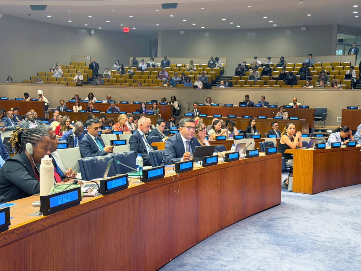 Azerbaijan presents SDG implementation experience at UN forum