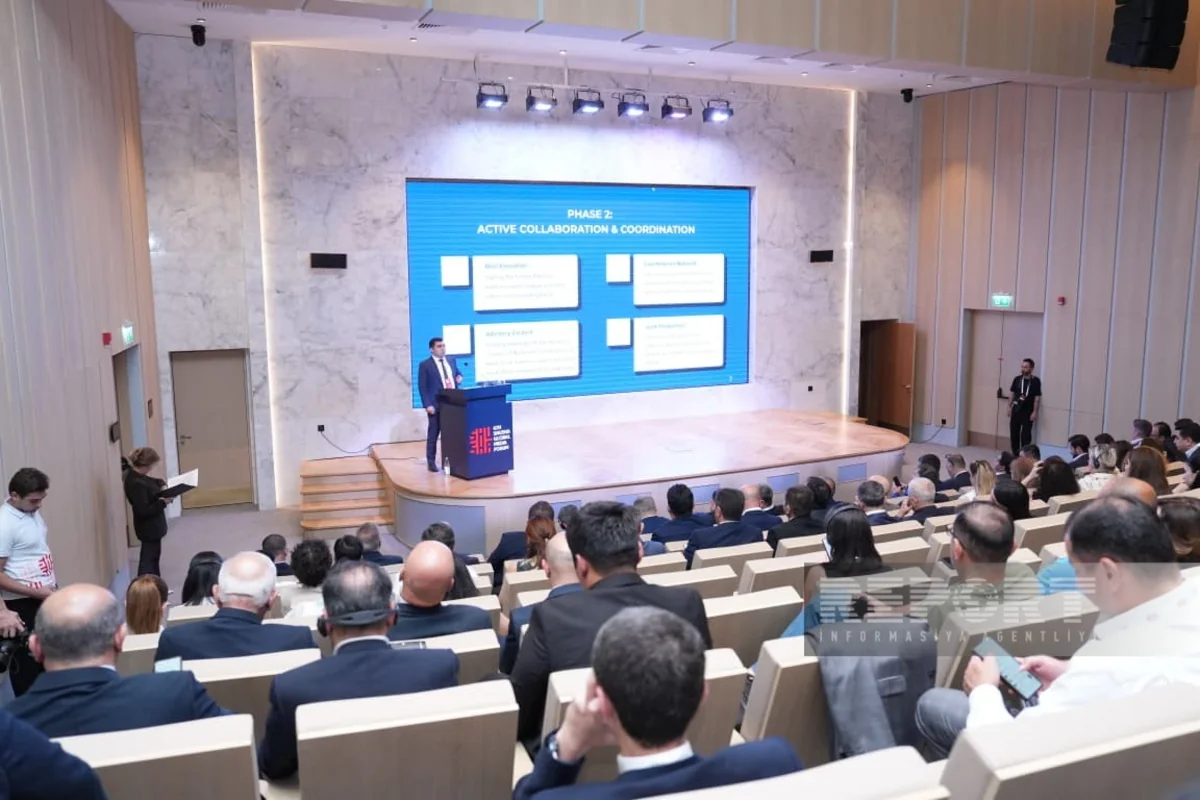 D-8 Media Excellence Center strategy presented at Shusha forum