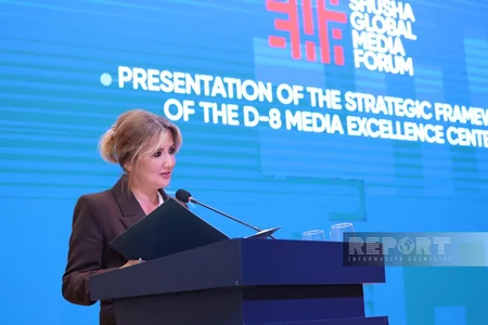 D-8 Media Excellence Center strategy presented at Shusha forum