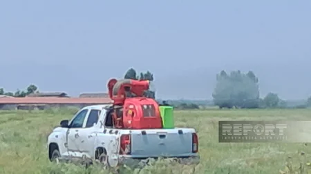 Ağdamda əkin sahələrində Tikanlı quş üzümü zərərli bitkisinə qarşı tədbirlər görülüb