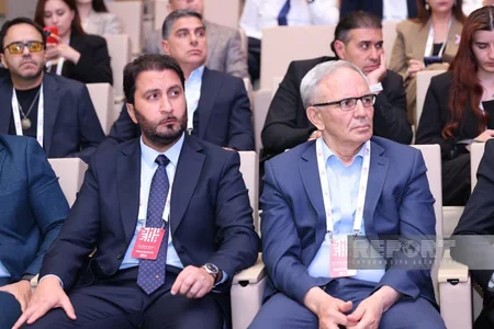 D-8 Media Excellence Center strategy presented at Shusha forum