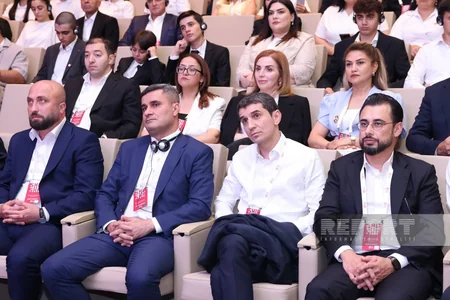 D-8 Media Excellence Center strategy presented at Shusha forum