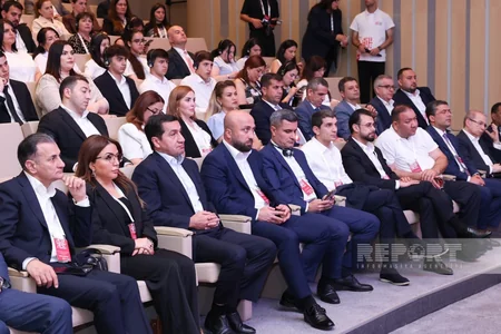 D-8 Media Excellence Center strategy presented at Shusha forum