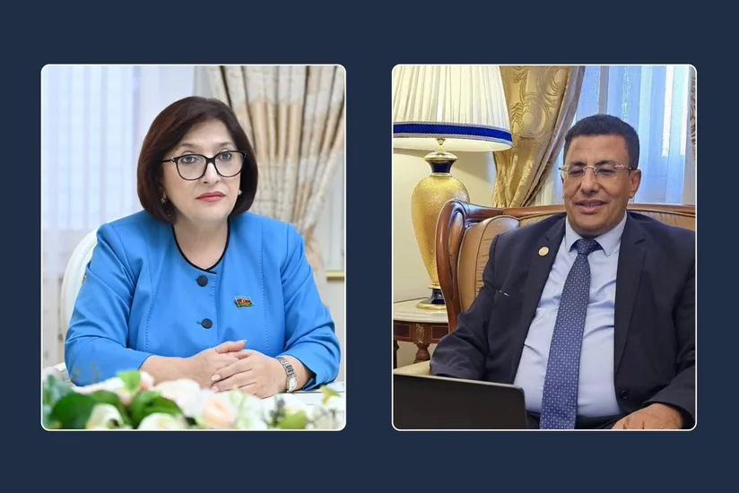 Azerbaijani speaker, Pan-African Parliament president discuss cooperation