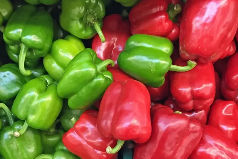 Azerbaijan's pepper imports rise 12% in January-April