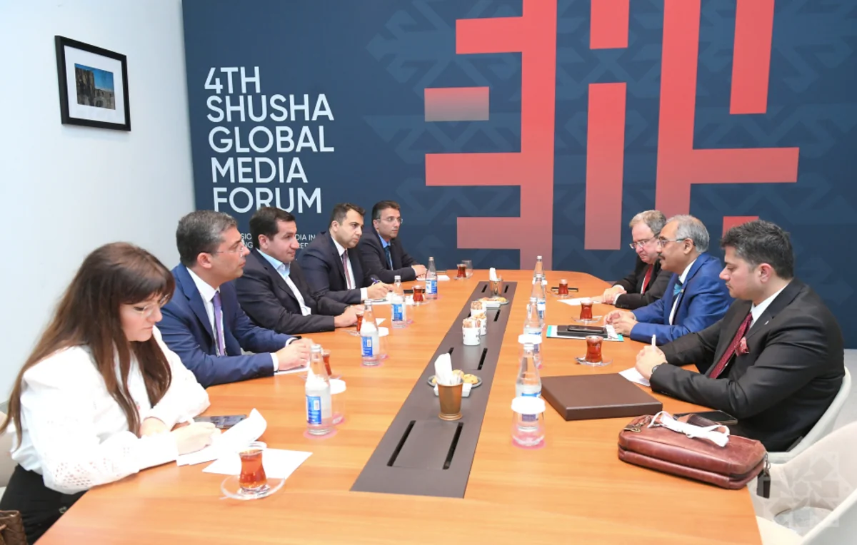 Hikmat Hajiyev mulls prospects for media co-op with D-8 leadership