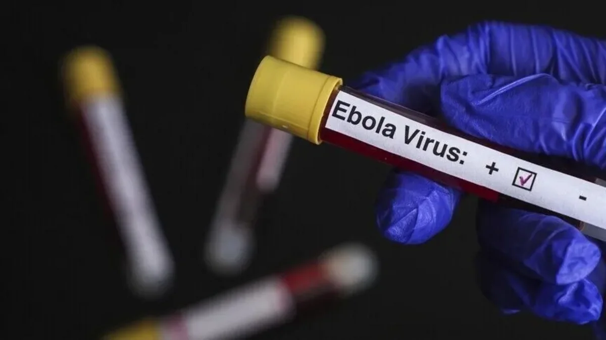 Ebola cases in DR Congo surpass 2,000