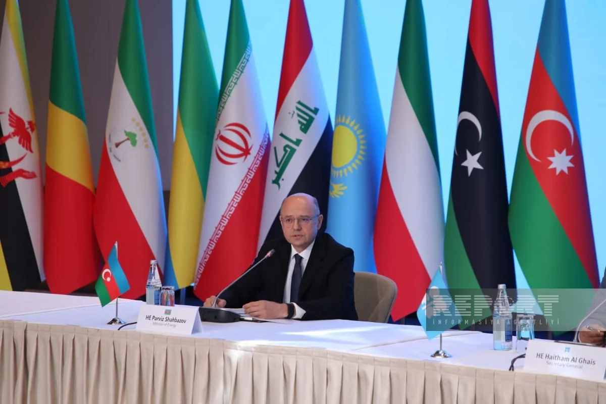 Minister: Energy transition doesn't replace oil & gas, it complements them