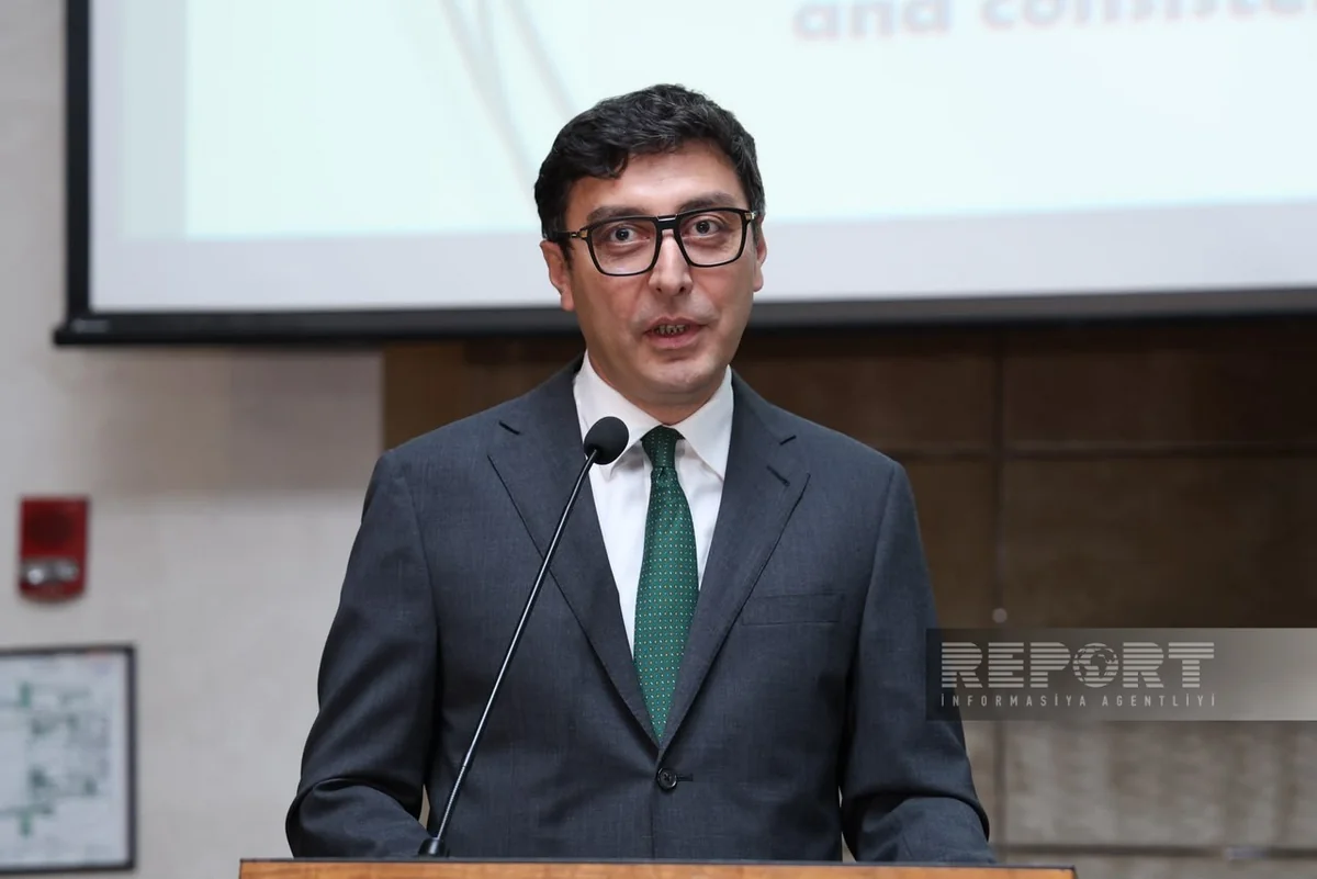 Farid Gayibov hails Azerbaijan-Egypt strategic partnership