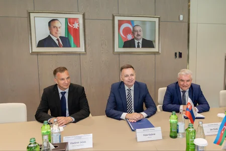 Azərbaycan və Slovakiya rəqəmsal dələduzluqla mübarizəni müzakirə edib