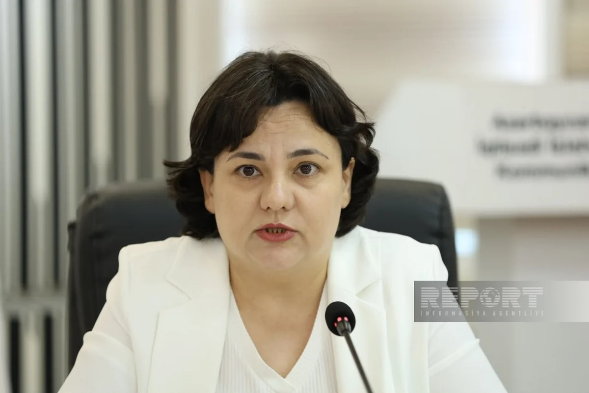 Nazir müavini:  Süni intellektllə 1,3 milyon hektar əkin sahəsi 100 % nəzarətə götürülə bilər