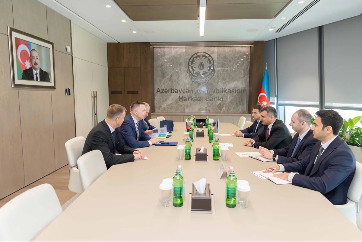 Azerbaijan, Slovakia mull combating digital fraud