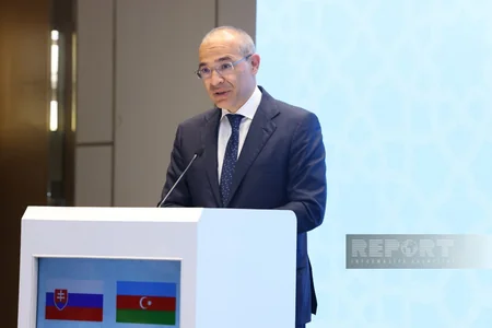 Jabbarov outlines priority areas for Azerbaijan-Slovakia cooperation