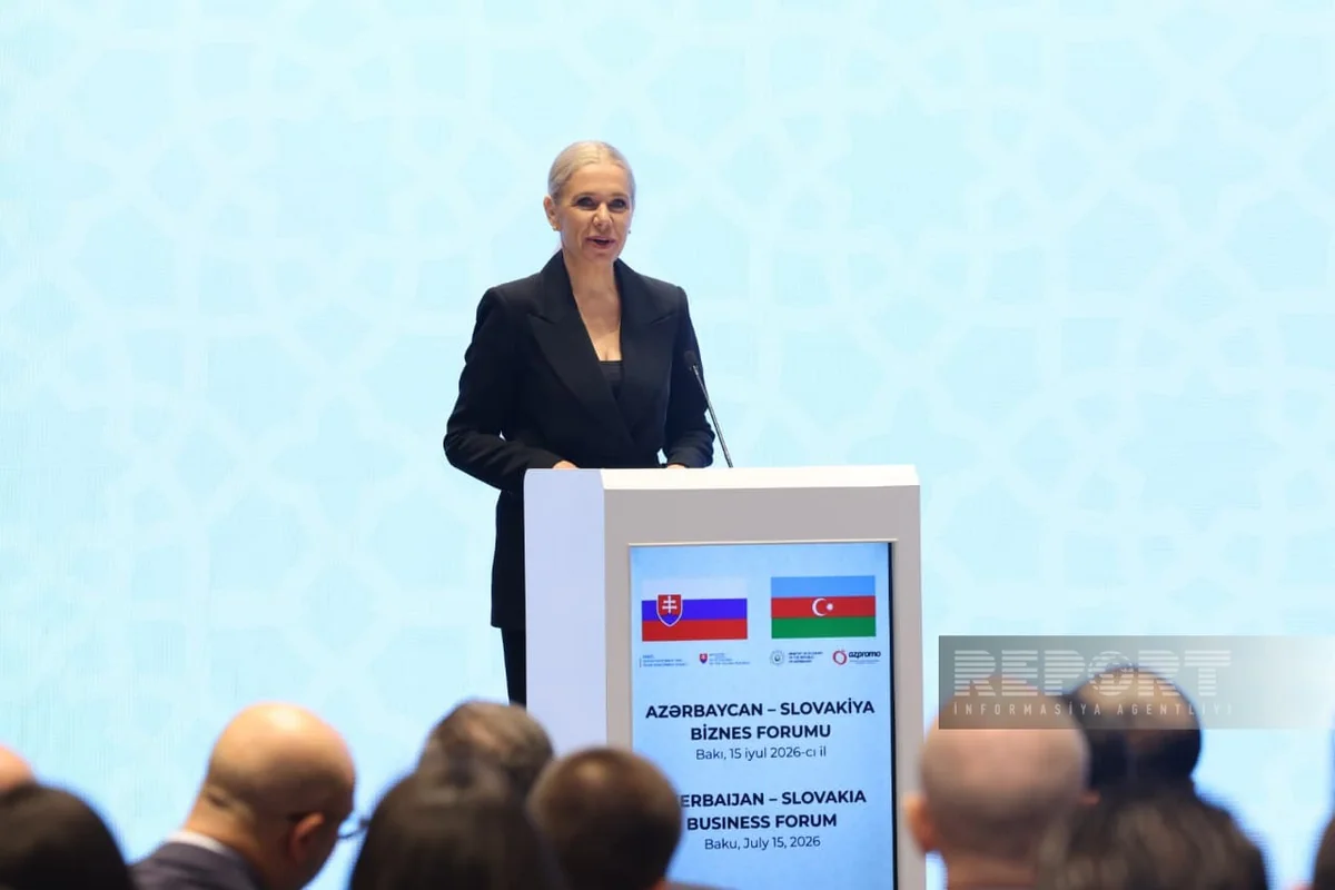 Denisa Sakova: Slovakia values ​​Azerbaijan's contribution to Europe's energy security