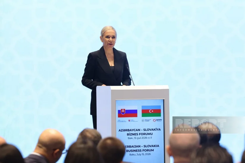 Denisa Sakova: Slovakia values ​​Azerbaijan's contribution to Europe's energy security