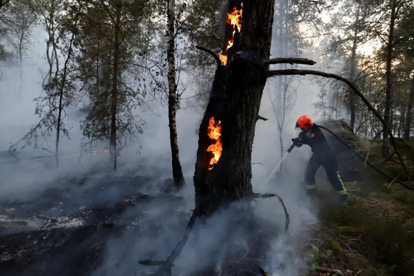 Пожар в лесу Фонтебло во Франции локализован