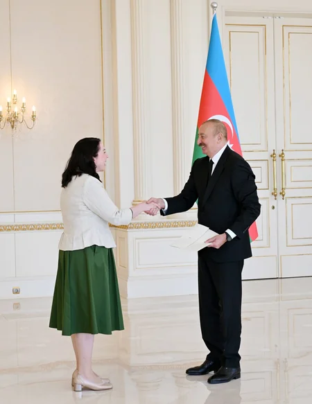 President Ilham Aliyev received credentials of Ireland's newly appointed ambassador