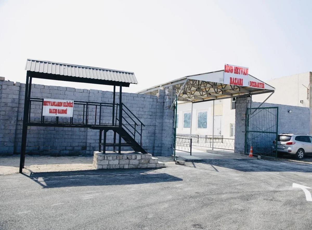 Bu yaxınlarda Xaçmaz heyvan bazarı fəaliyyətə başlayacaq