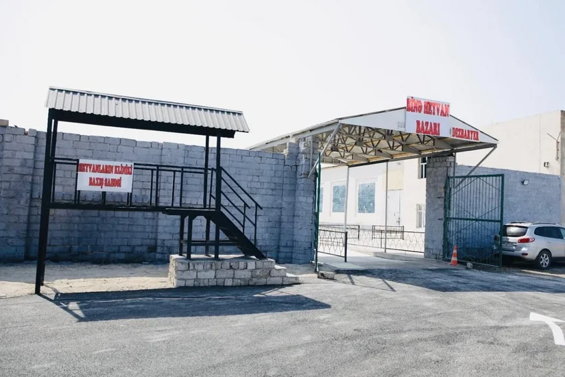 Bu yaxınlarda Xaçmaz heyvan bazarı fəaliyyətə başlayacaq