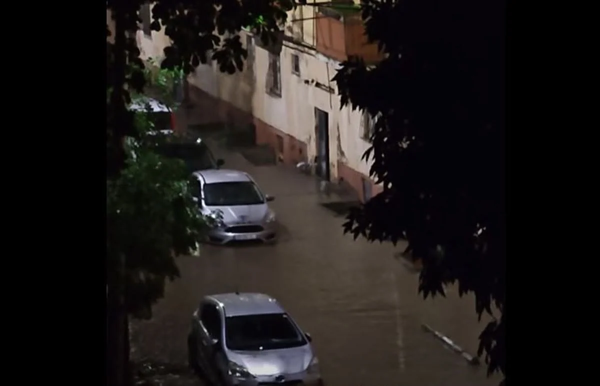 Leysan yağışları Tbilisidə bir sıra fəsadlara yol açıb