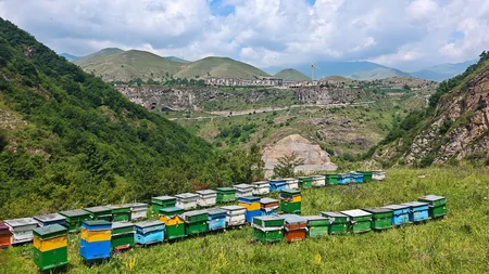 Kəlbəcərdə təsərrüfatlara və tikinti işlərinə baxış keçirilib